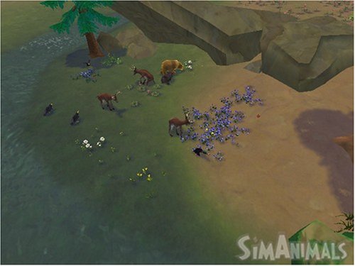 SimAnimals for Wii