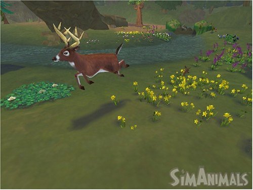 SimAnimals for Wii
