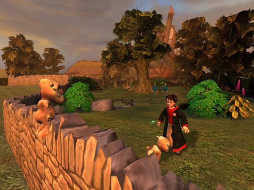 Harry Potter Chamber of Secrets PS2