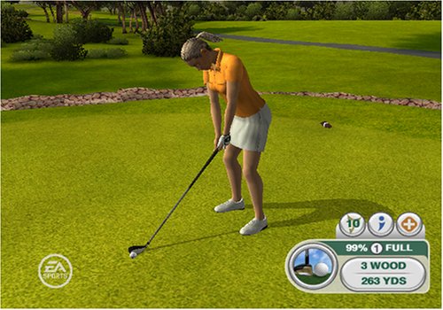 Tiger Woods PGA 09 Video Game