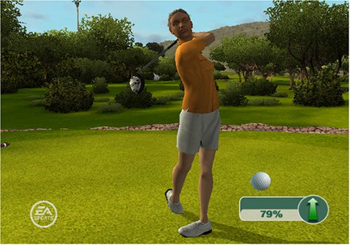 Tiger Woods PGA 09 Video Game