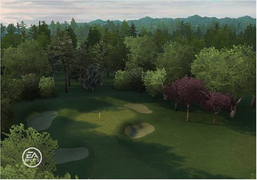 Tiger Woods PGA 09 Video Game