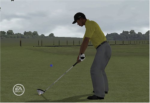 Tiger Woods PGA 09 Video Game