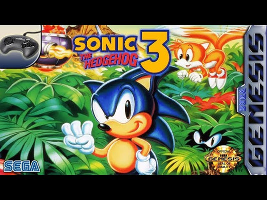 Sega Sonic the Hedgehog 3 Video Game