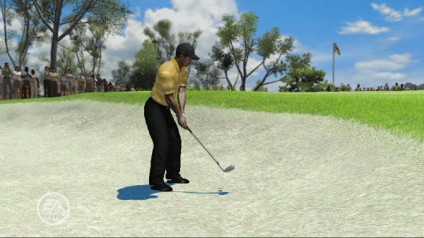 Tiger Woods PGA Tour 08 Video Game
