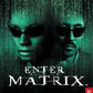 Enter the Matrix Video Game for PlayStation 2