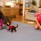 Eye Pet - Playstation 3
