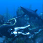 Tomb Raider: Underworld for PS3