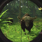 Cabela's Dangerous Hunts 2009 Wii