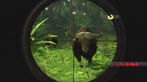 Cabela's Dangerous Hunts 2009 Wii