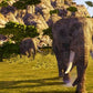 Cabela's Dangerous Hunts 2009 Wii