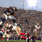 Madden NFL 17 - Playstation 4