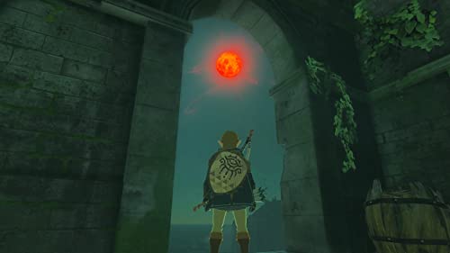 The Legend of Zelda: Tears of the Kingdom - Switch