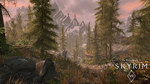 Skyrim Special Edition - PS4