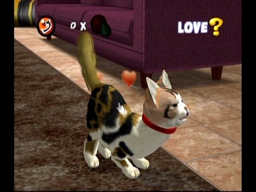 Purr Pals - Nintendo DS