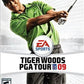 Tiger Woods PGA 09 Video Game
