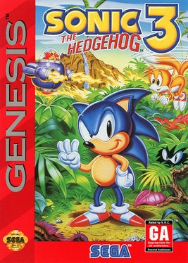 Sega Sonic the Hedgehog 3 Video Game