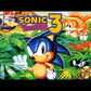 Sega Sonic the Hedgehog 3 Video Game