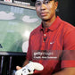Tiger Woods PGA Tour 08 Video Game